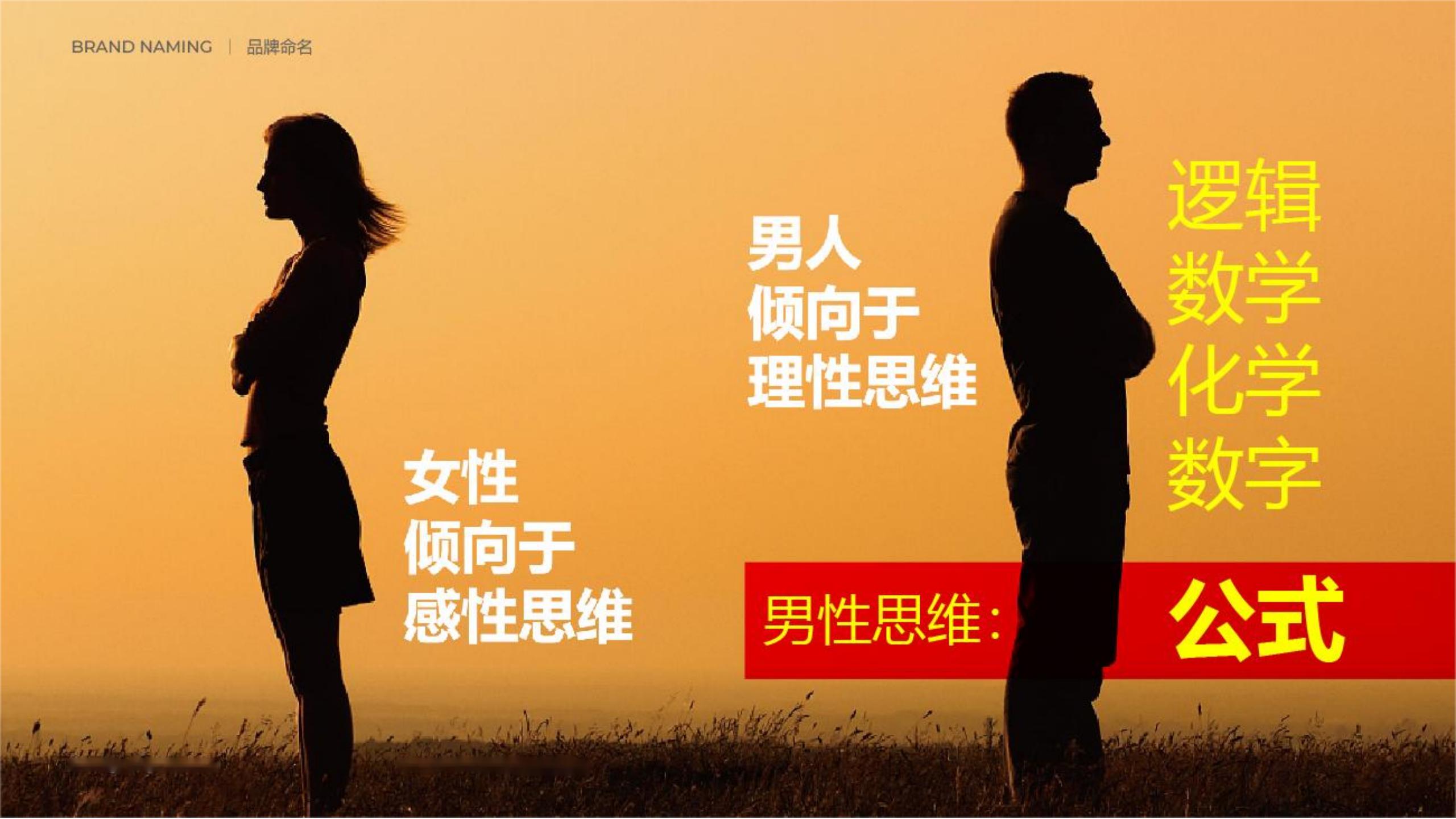男士護(hù)膚品牌全案策劃設(shè)計(jì)-營(yíng)養(yǎng)品包裝設(shè)計(jì)-西柚公式